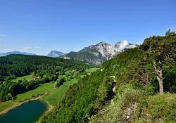 dsc_0567.jpg